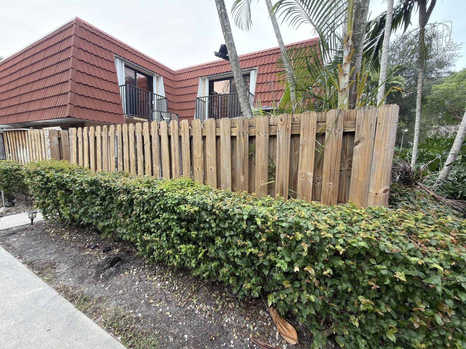 Wood fence and hedge line, rinsed clean