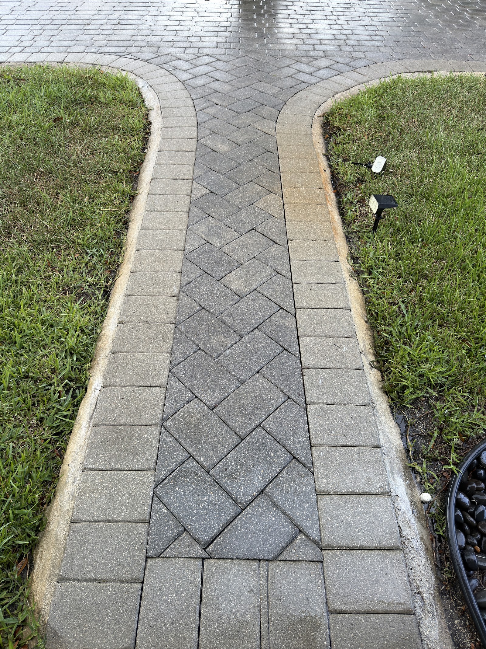 Paver walkway, deep cleaned and rinsed