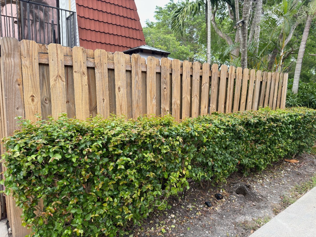 Fence Cleaning